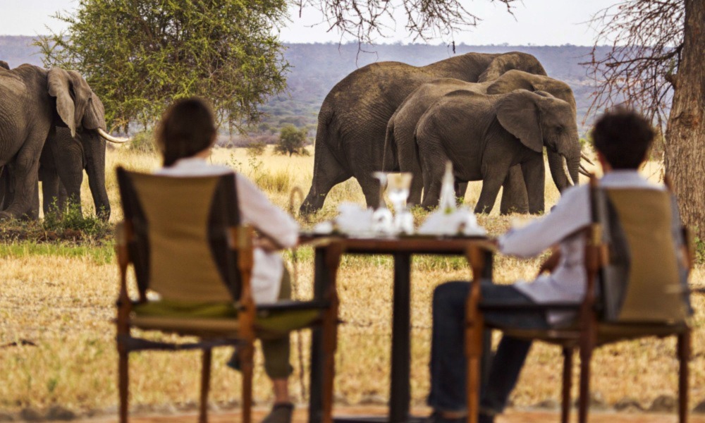 Tanzania Luxury Safari Tours