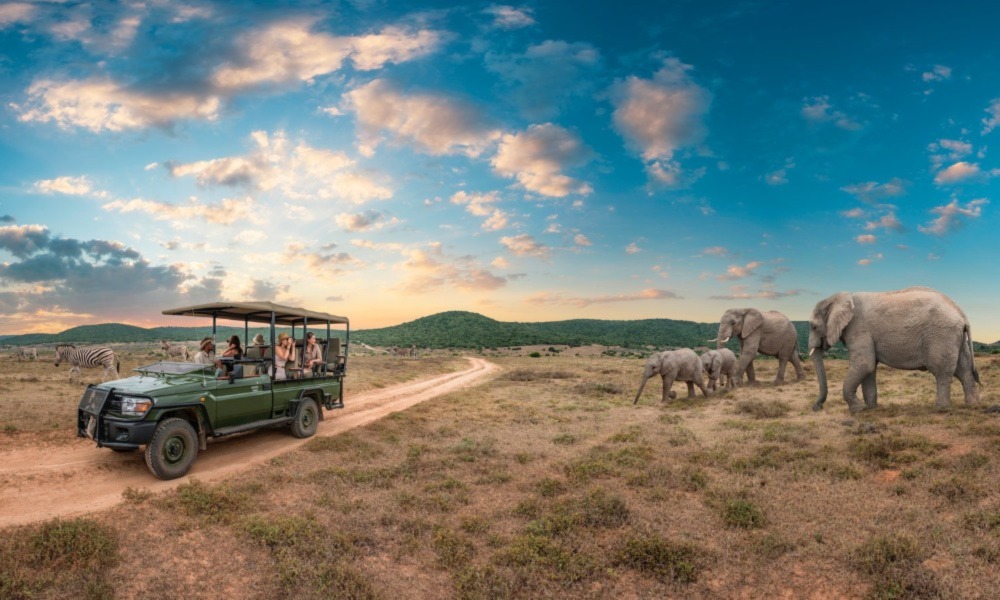 Tanzania Safari Safety