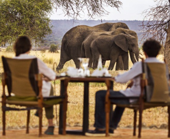 Tanzania Liuxury Safari Tours