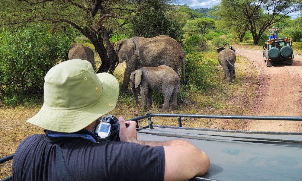 Tanzania Luxury Safari Destination