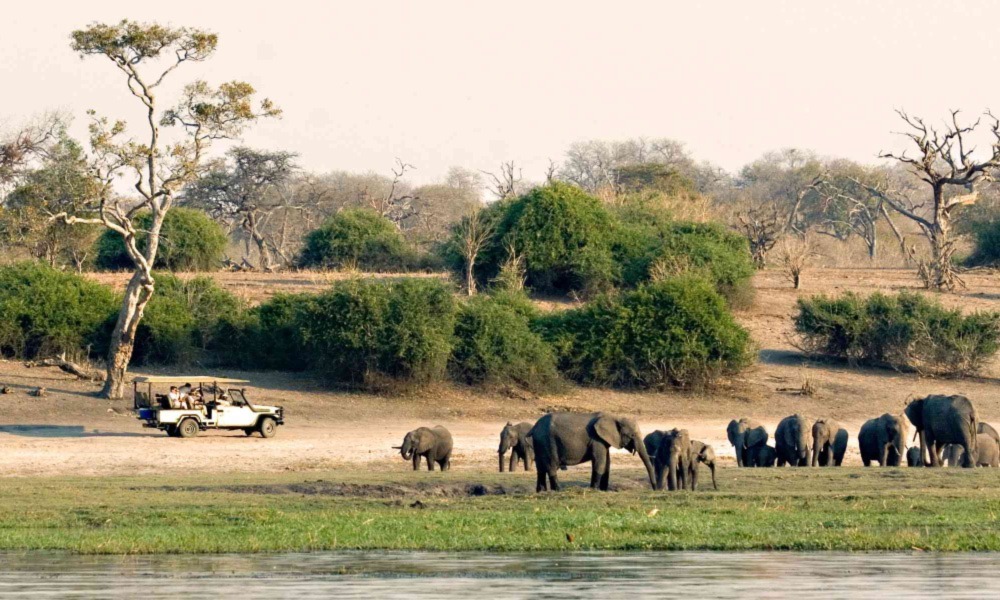 Activities in Lake Manyara National Park