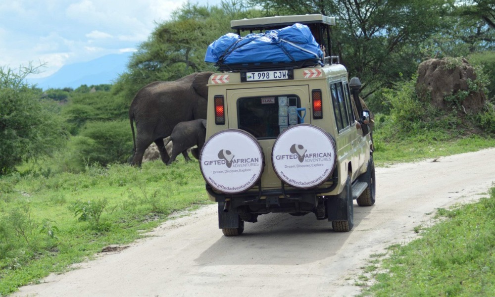 Tanzanian Safari Holidays