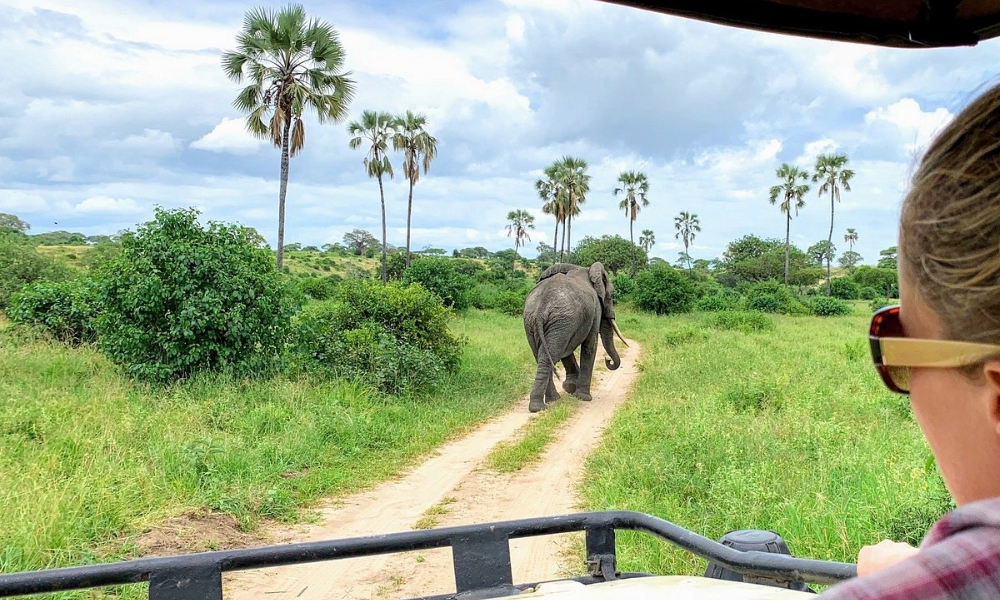  Tanzanian Safari Destinations
