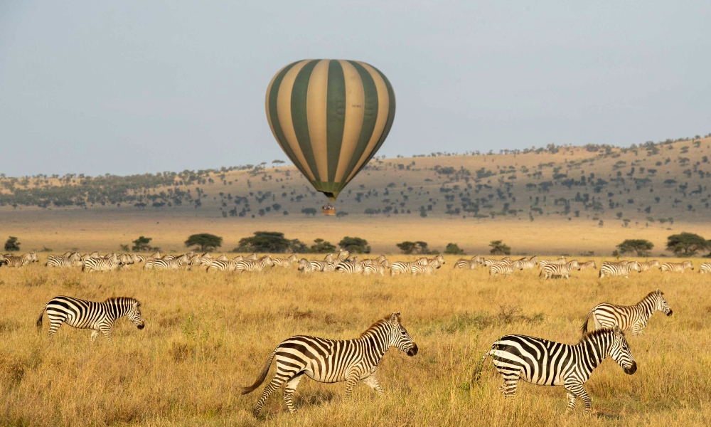  Hot Air Balloon Safari Over Serengeti