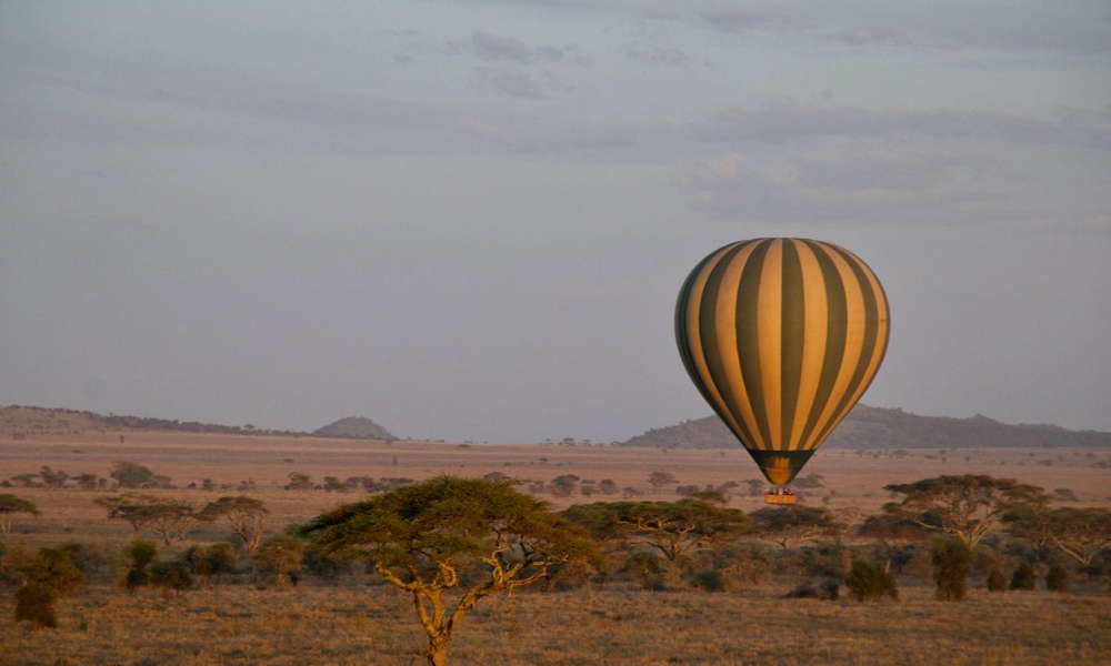 Serengeti Hot-Air Balloon Safari