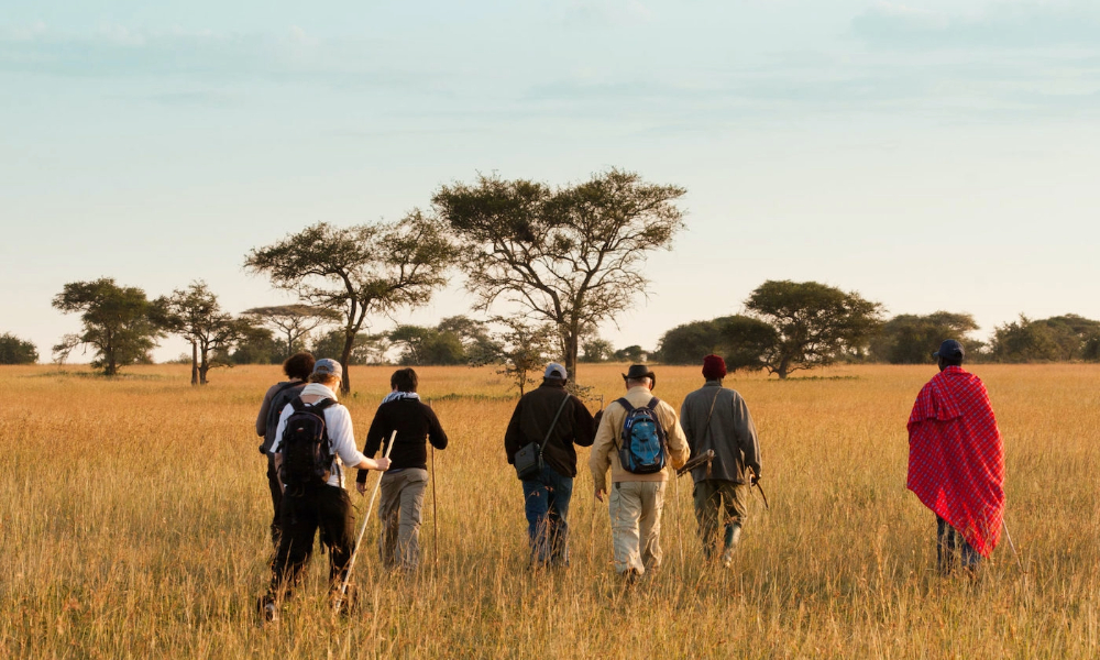 Walking Safari In Tanzania