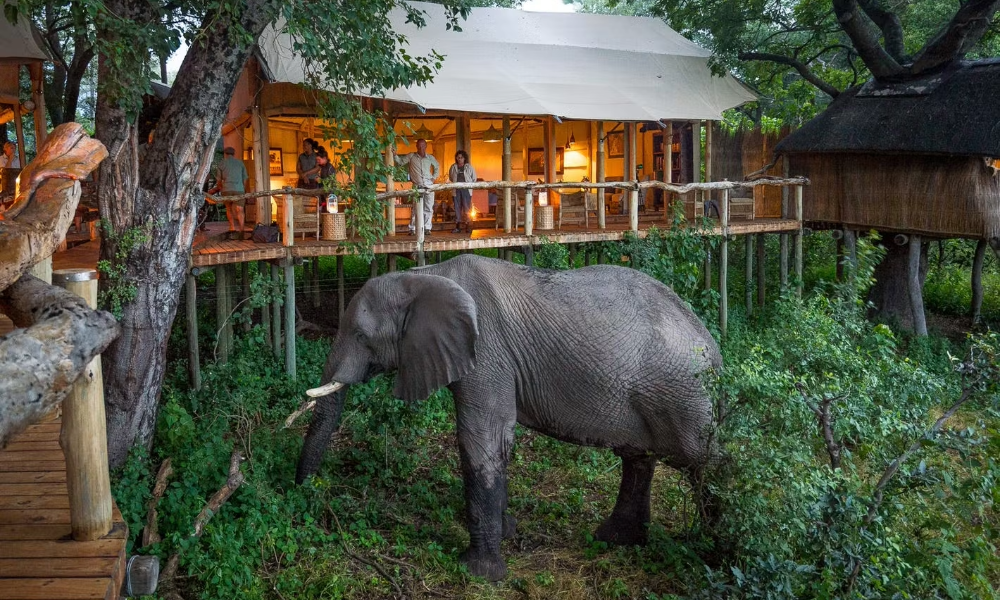 Accommodation in Tanzania Safaris