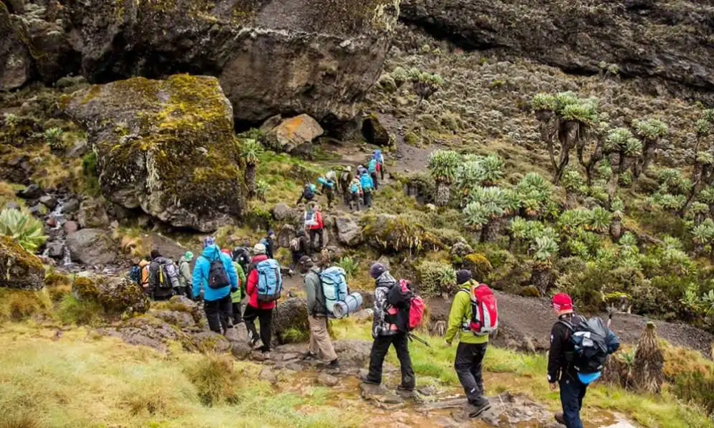 Kilimanjaro Climb Tours
