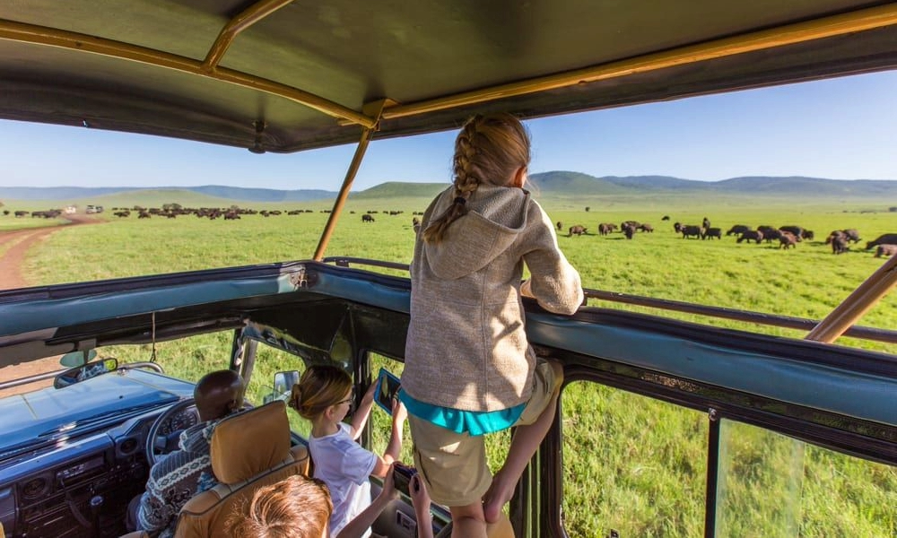 Safari Trip in Tanzania
