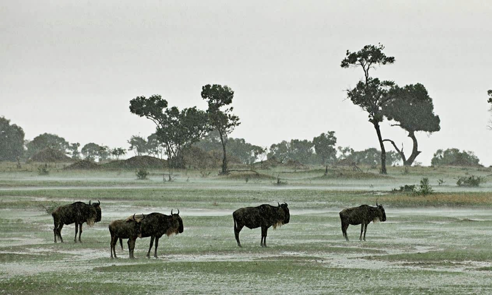 Wet Season in Tanzania