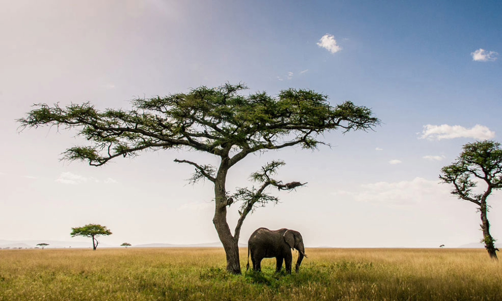 Best Time to visit Tanzania