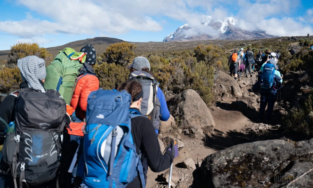 Accessibility of Kilimanjaro