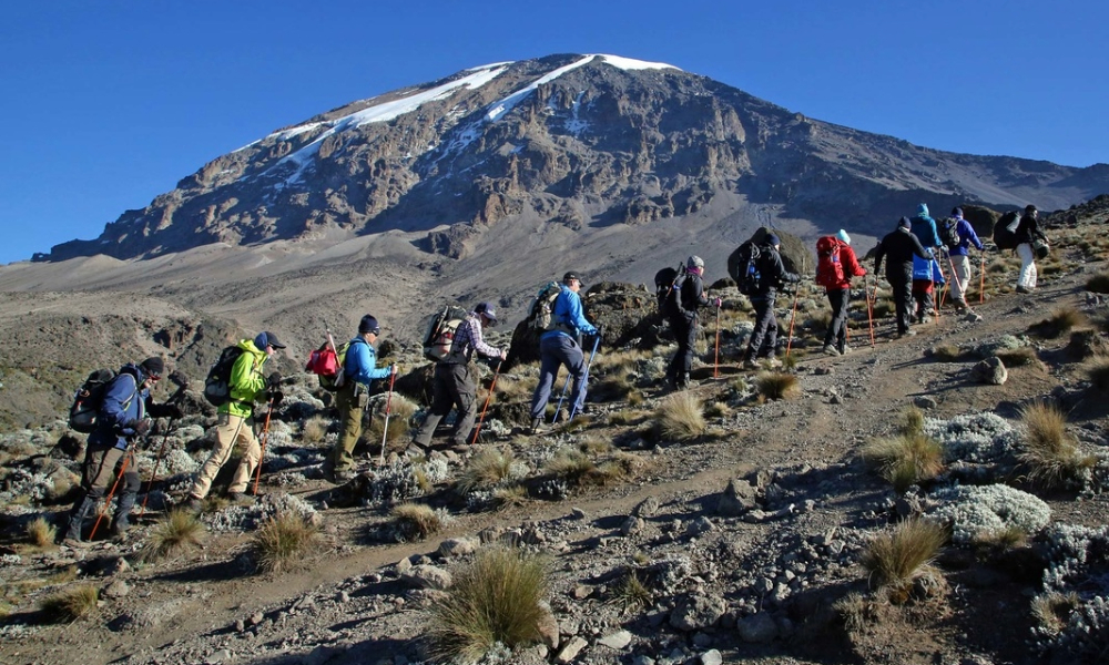 Cost To Climb Kilimanjaro