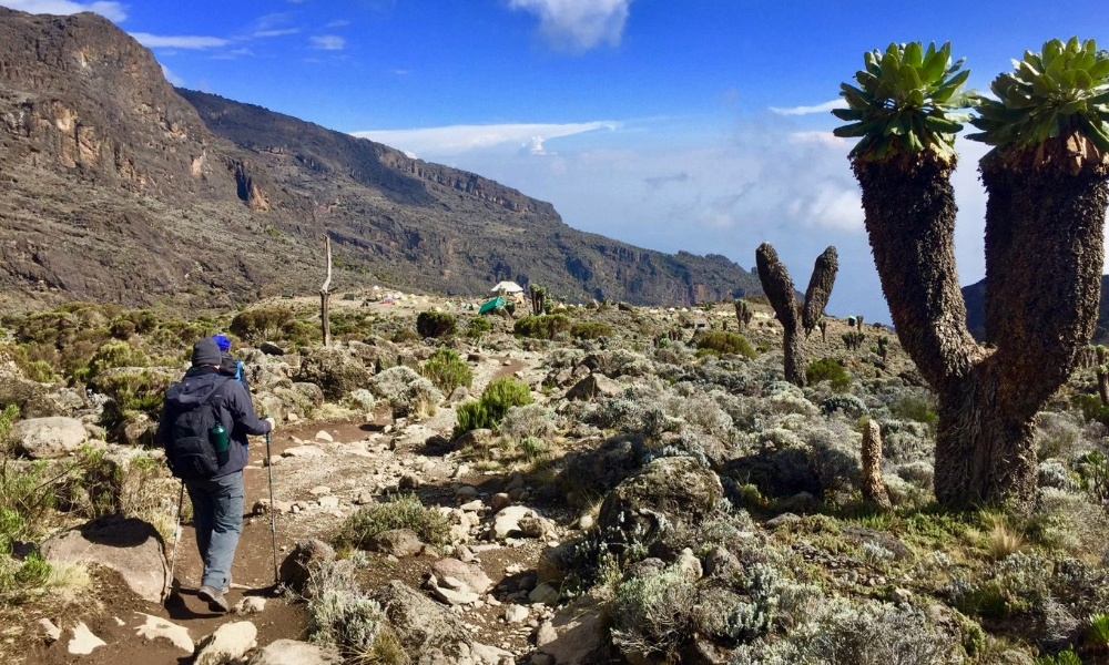 Kilimanjaro Machame Route
